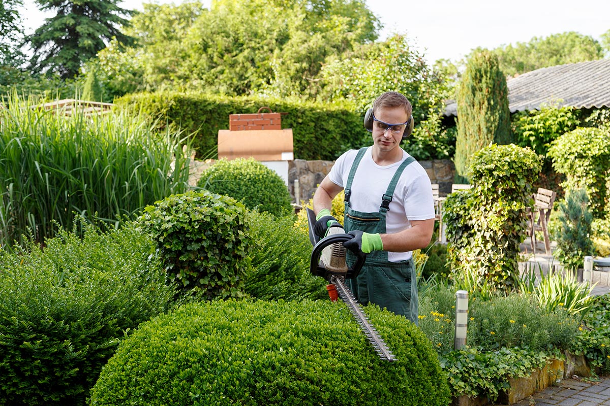 Gärtner bei Gartenarbeit